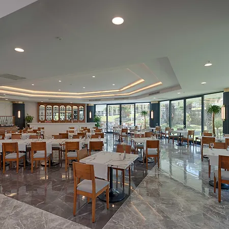 Seven Seas Blue 시데